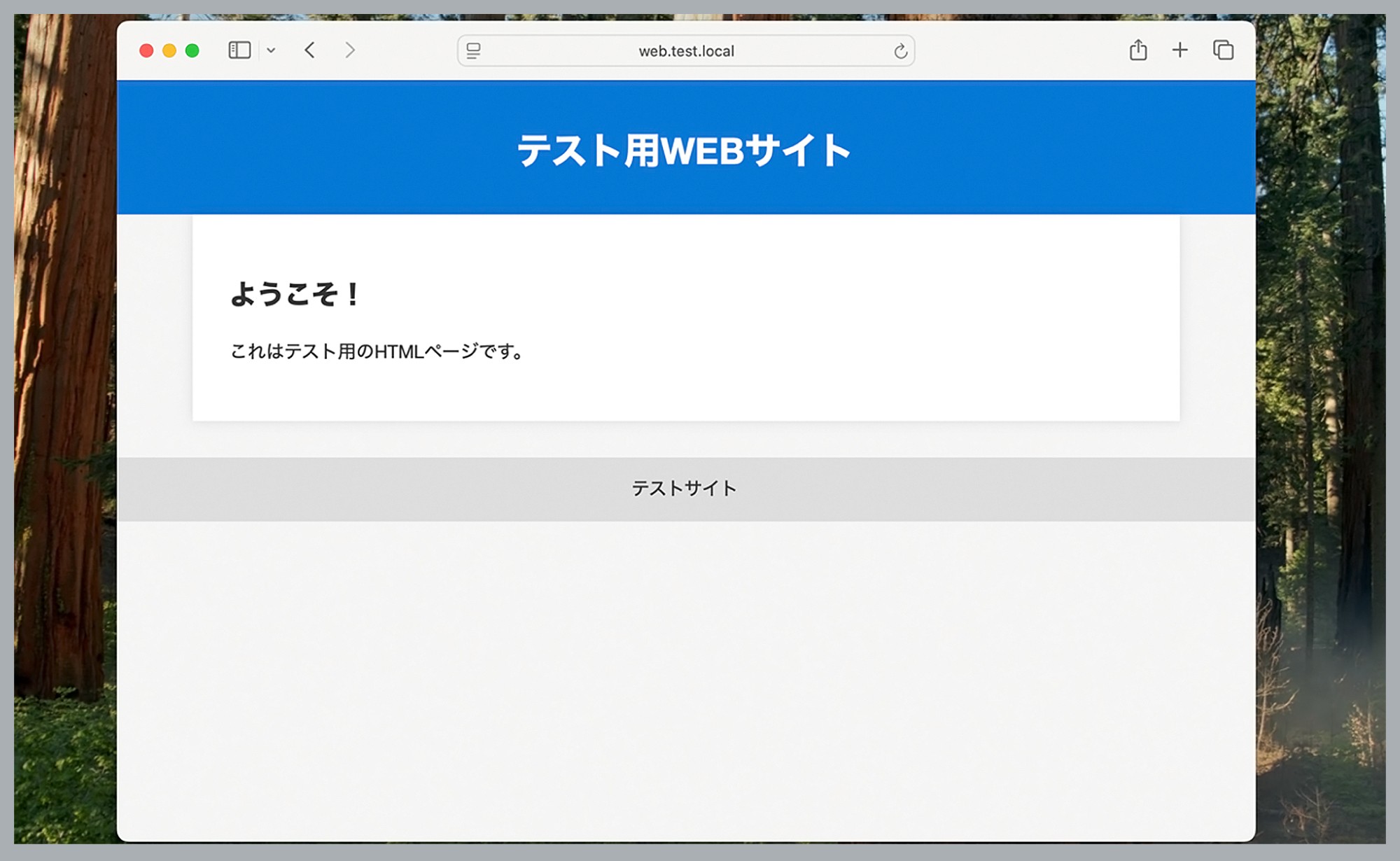 名前解決によるWEBサーバーへのアクセス画面のイメージ