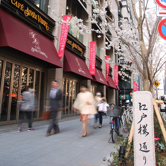 日本橋室町の街づくりの一環として整備された『江戸桜通り』