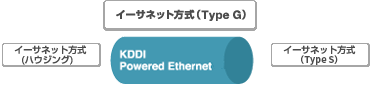 KDDI Powered Ethernet (TM) サービスメニュー、Type G、ハウジング、Type S