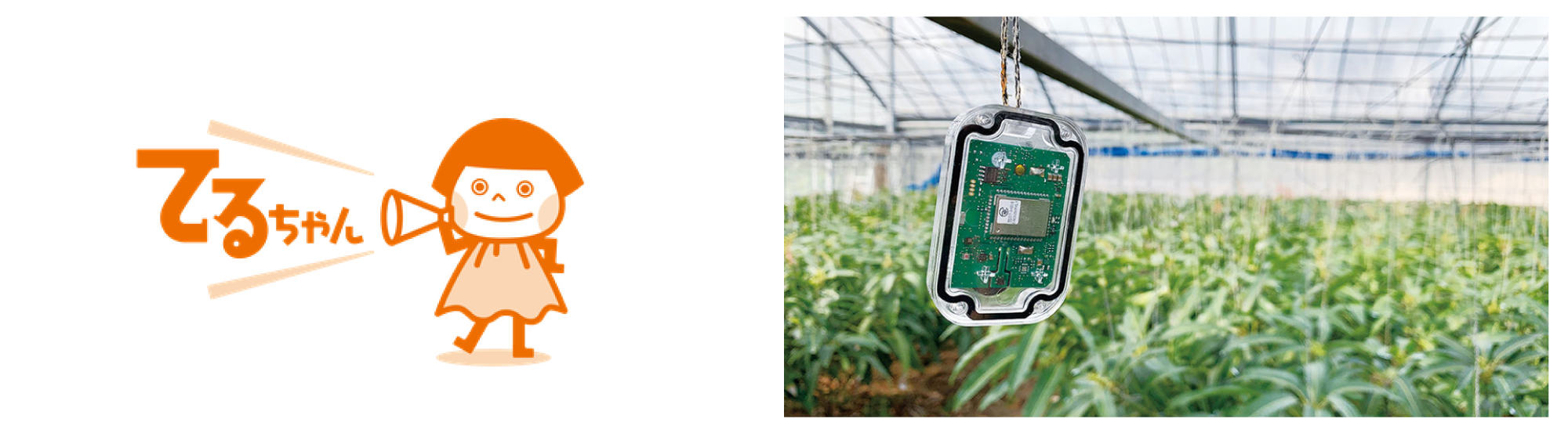 農業IoTデバイス「てるちゃん」。圃場の温度・湿度・照度に異常があれば電話やメール、SMSに通知する。