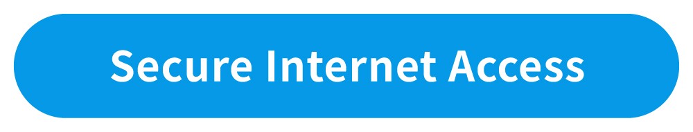 Secure Internet Access