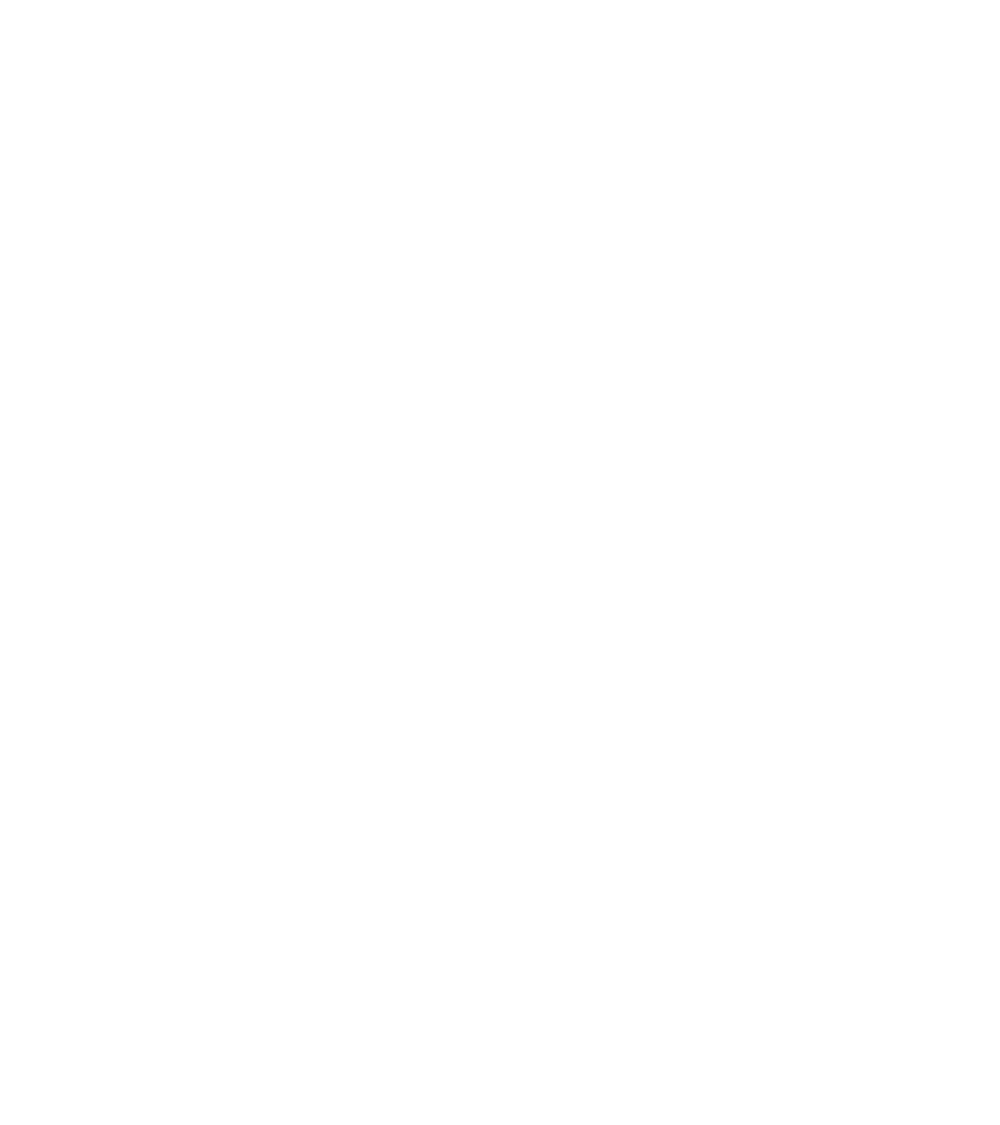 グローバルネットワーク最適化