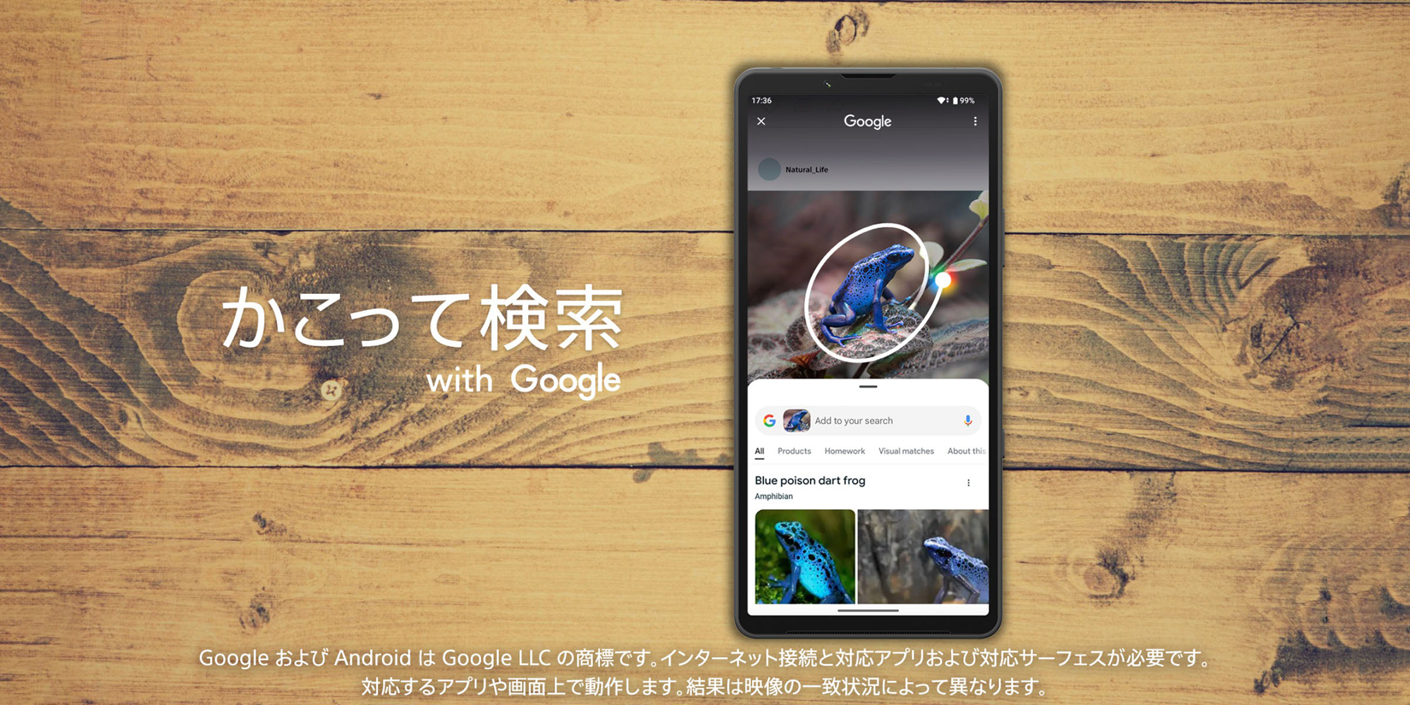 Google のかこって検索 イメージ