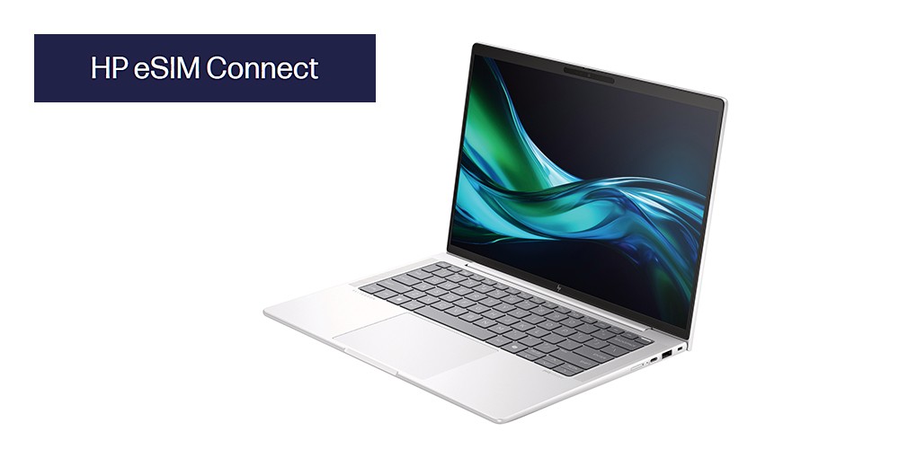  HP EliteBook 1040 G11 (Windows(R)) (HP eSIM Connect)