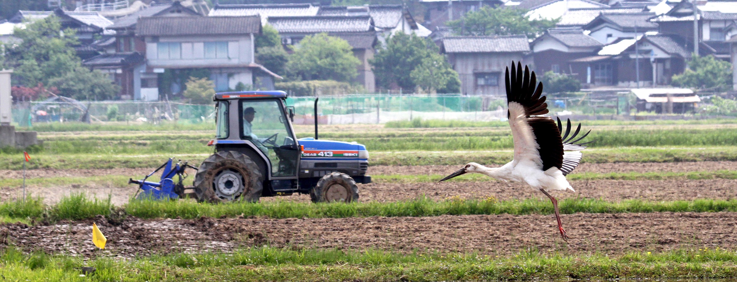 兵庫県豊岡市様